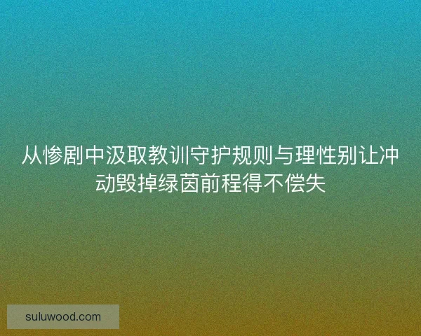 从惨剧中汲取教训守护规则与理性别让冲动毁掉绿茵前程得不偿失