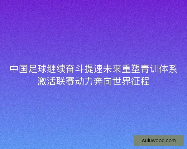 中国足球继续奋斗提速未来重塑青训体系激活联赛动力奔向世界征程 中国足球继续奋斗提速未来重塑青训体系激活联赛动力奔向世界征程