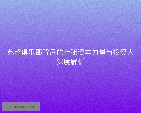 苏超俱乐部背后的神秘资本力量与投资人深度解析