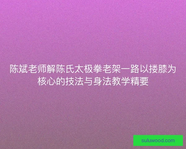 陈斌老师解陈氏太极拳老架一路以搂膝为核心的技法与身法教学精要 陈斌老师解陈氏太极拳老架一路以搂膝为核心的技法与身法教学精要