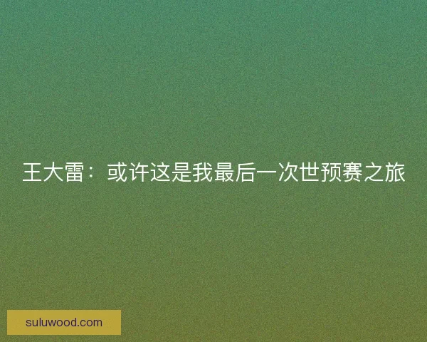 王大雷：或许这是我最后一次世预赛之旅