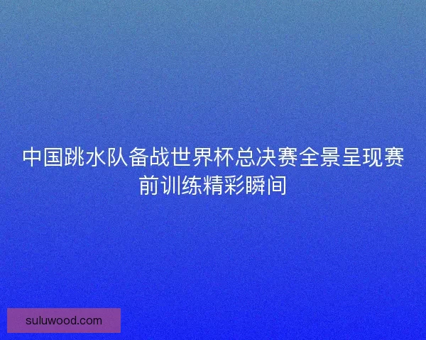 中国跳水队备战世界杯总决赛全景呈现赛前训练精彩瞬间 中国跳水队备战世界杯总决赛全景呈现赛前训练精彩瞬间